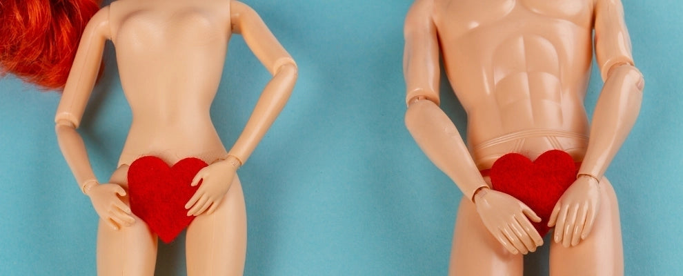 Comment utiliser une Poupée Sexuelle ? Intimae
