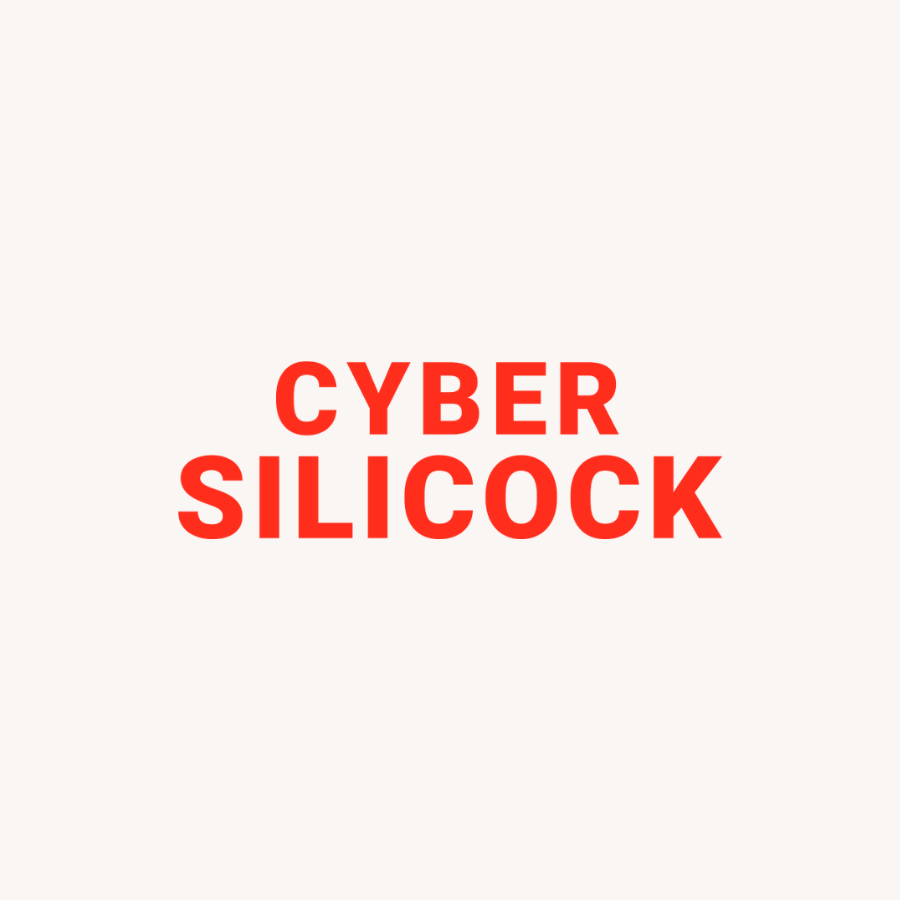 Cyber Silicock