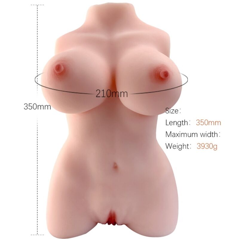 Dimensions du torse féminin Armony Modèle 3 : 350 mm de haut et poids de 3930 g