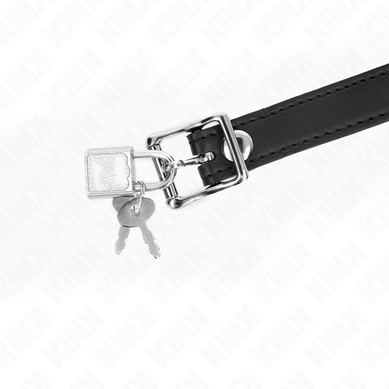 Bâillon Bit Gag BDSM Silicone Bâton avec Serrure Réglable - Kink