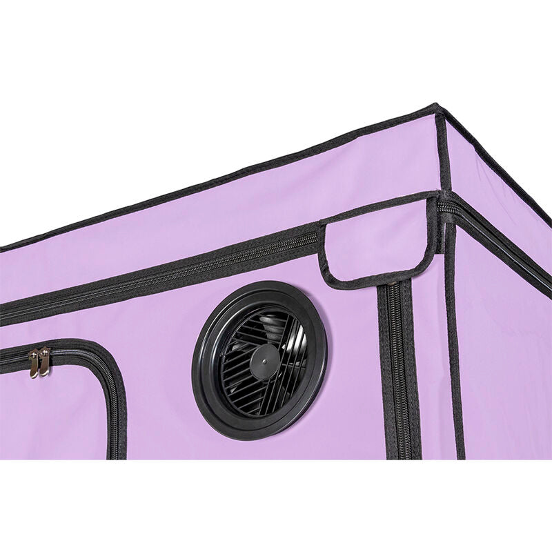 SECRET DOME - KINK CLUB CABINE SCANDALE PURPLE