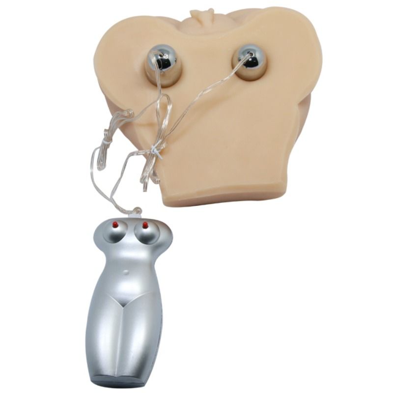 Réaliste du vagin et de lanus