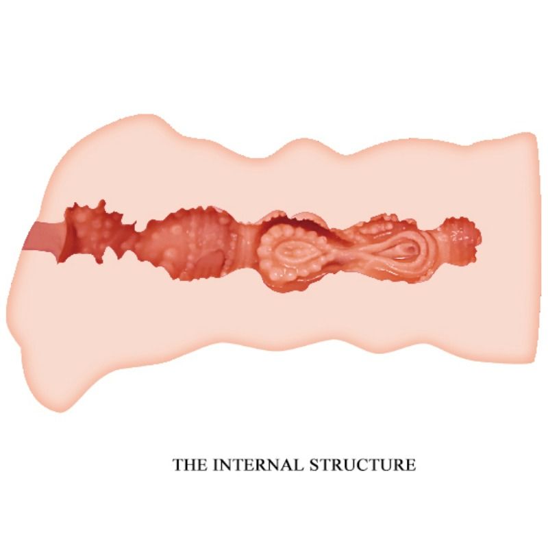 Masturbateur vagin leila 13.5 cm
