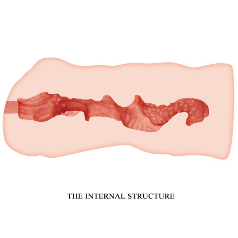 Masturbateur vagin linda 13.7 cm