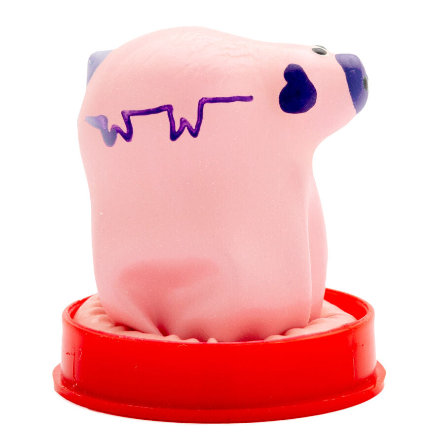 Préservatif Fantaisie Petit Cochon Peint à la Main Latex Naturel - Condomerie