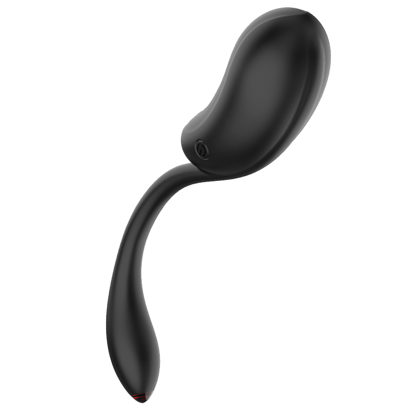 Œuf Vibrant Télécommandé Chic Desire 10 Modes Rechargeable IPX6 - Coquette